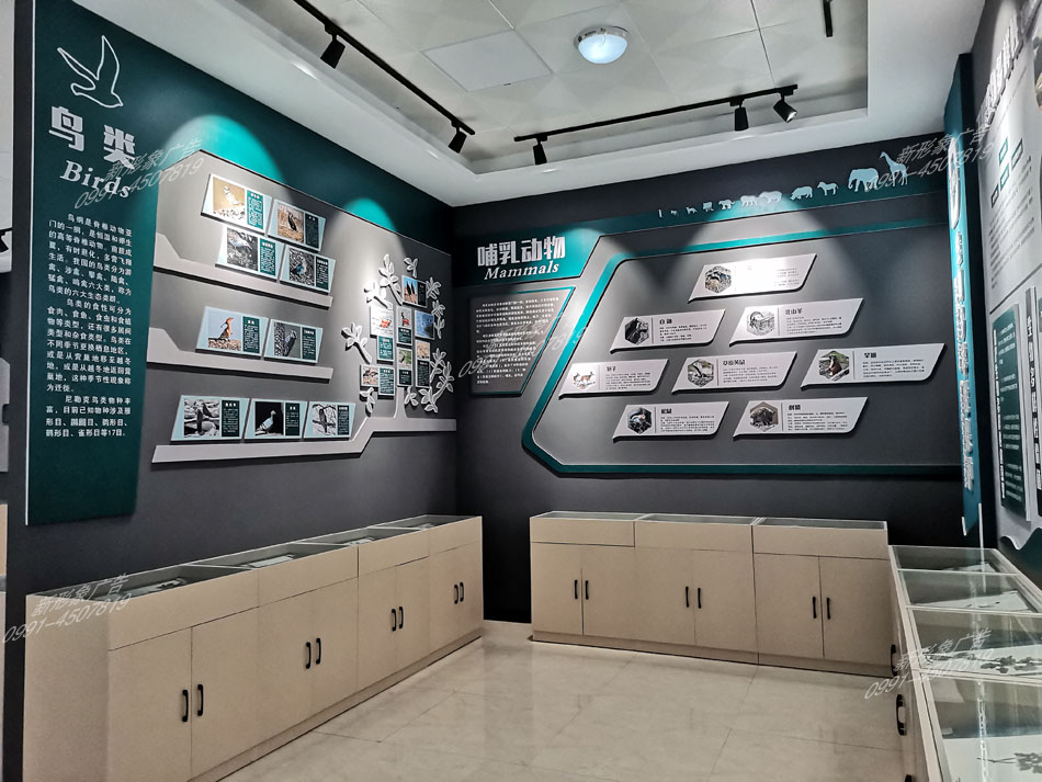 研學(xué)館鳥(niǎo)類(lèi)、哺乳動(dòng)物展廳設計制作